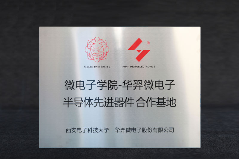 微电子学院-fun88官网微电半导体先进器件相助基地