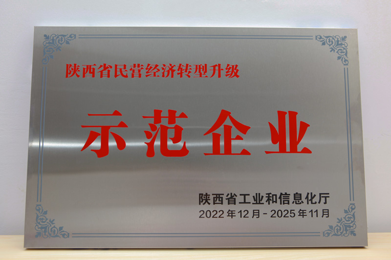 陕西省民营经济转型升级树模企业